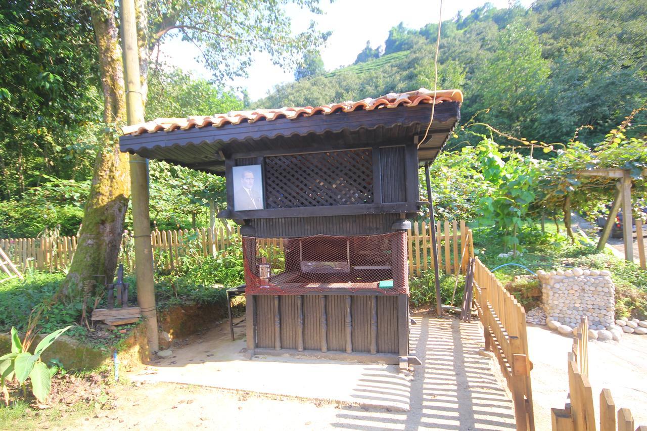 Inceler Konagi Villa Findikli  ภายนอก รูปภาพ